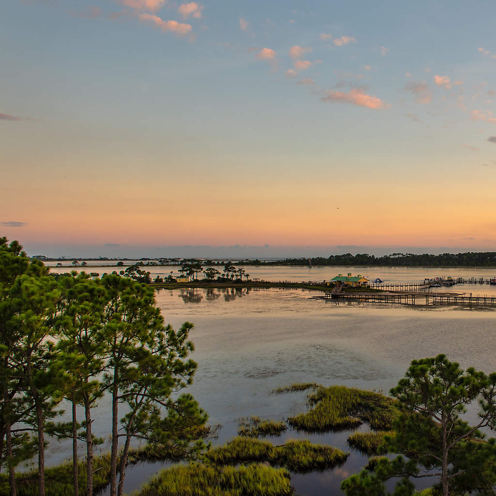 DIR-brs-bayside-resort-and-spa-grand-lagoon-pelicans