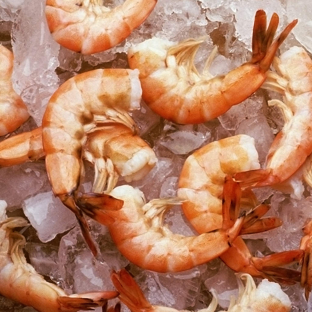 DIR-shrimp-cocktail-with-lemon-on-crushed-ice-seafood-dining-restaurants,jpg